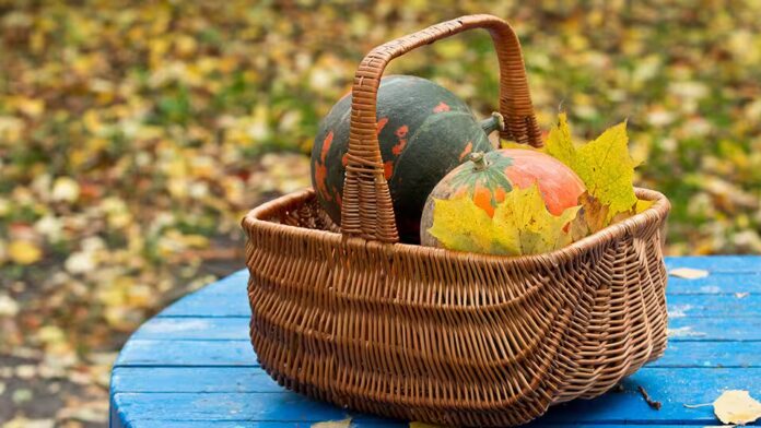 Місячний календар городника на жовтень 2025: Як планувати роботи в саду